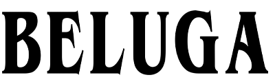 Beluga